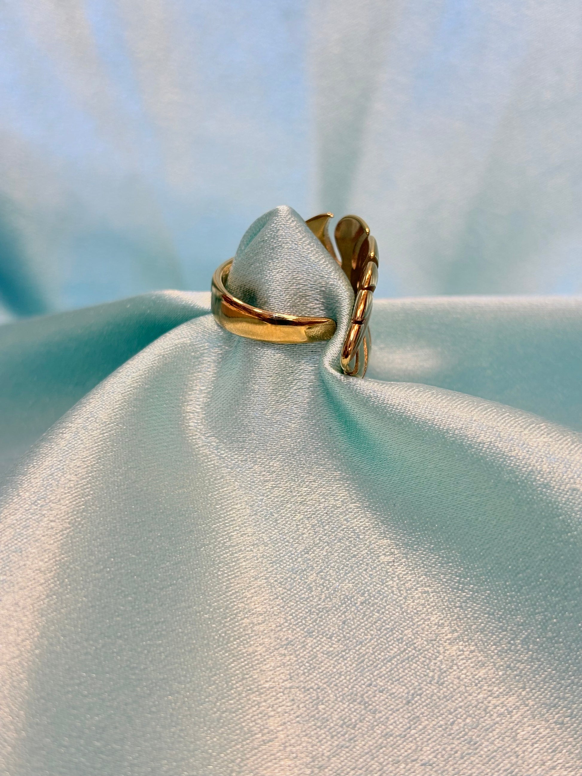 Stainless steel Ring