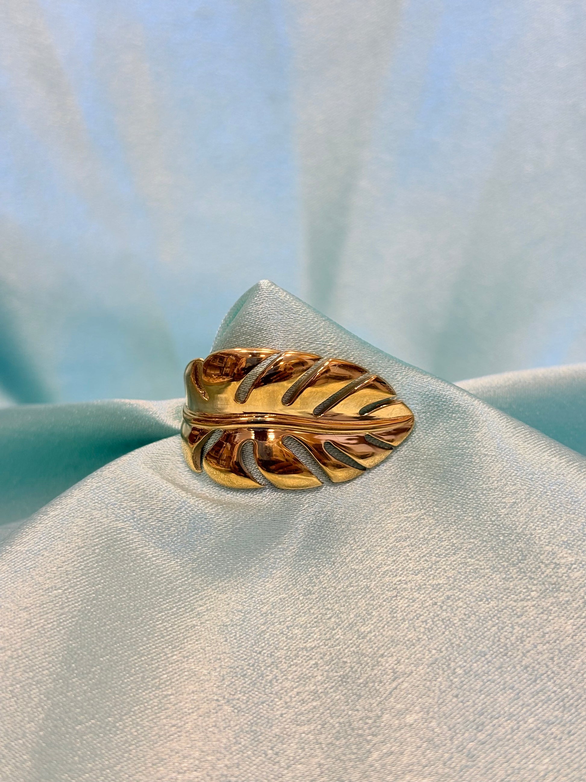 Stainless steel Ring