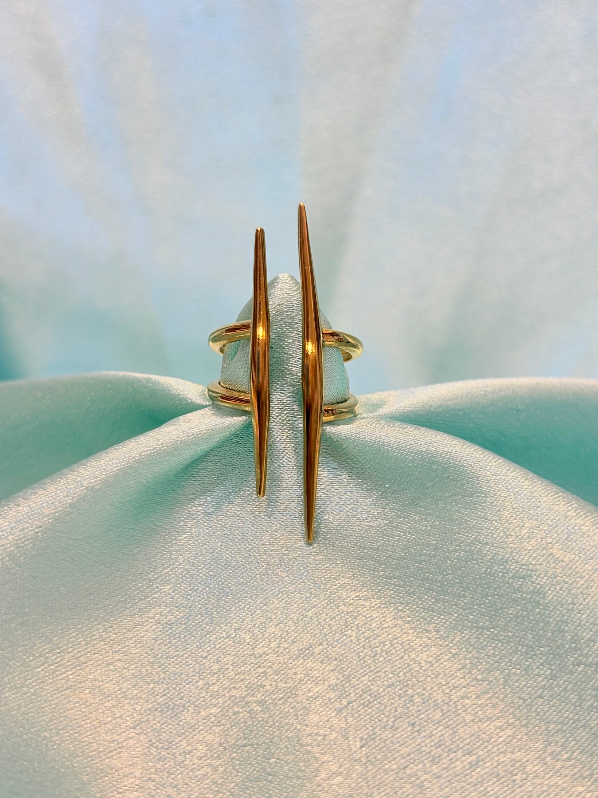 Stainless steel Ring