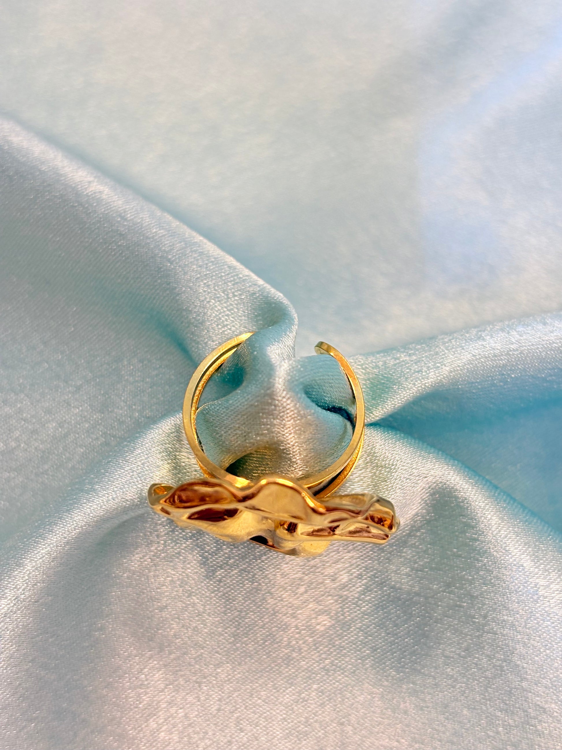 Stainless steel Ring