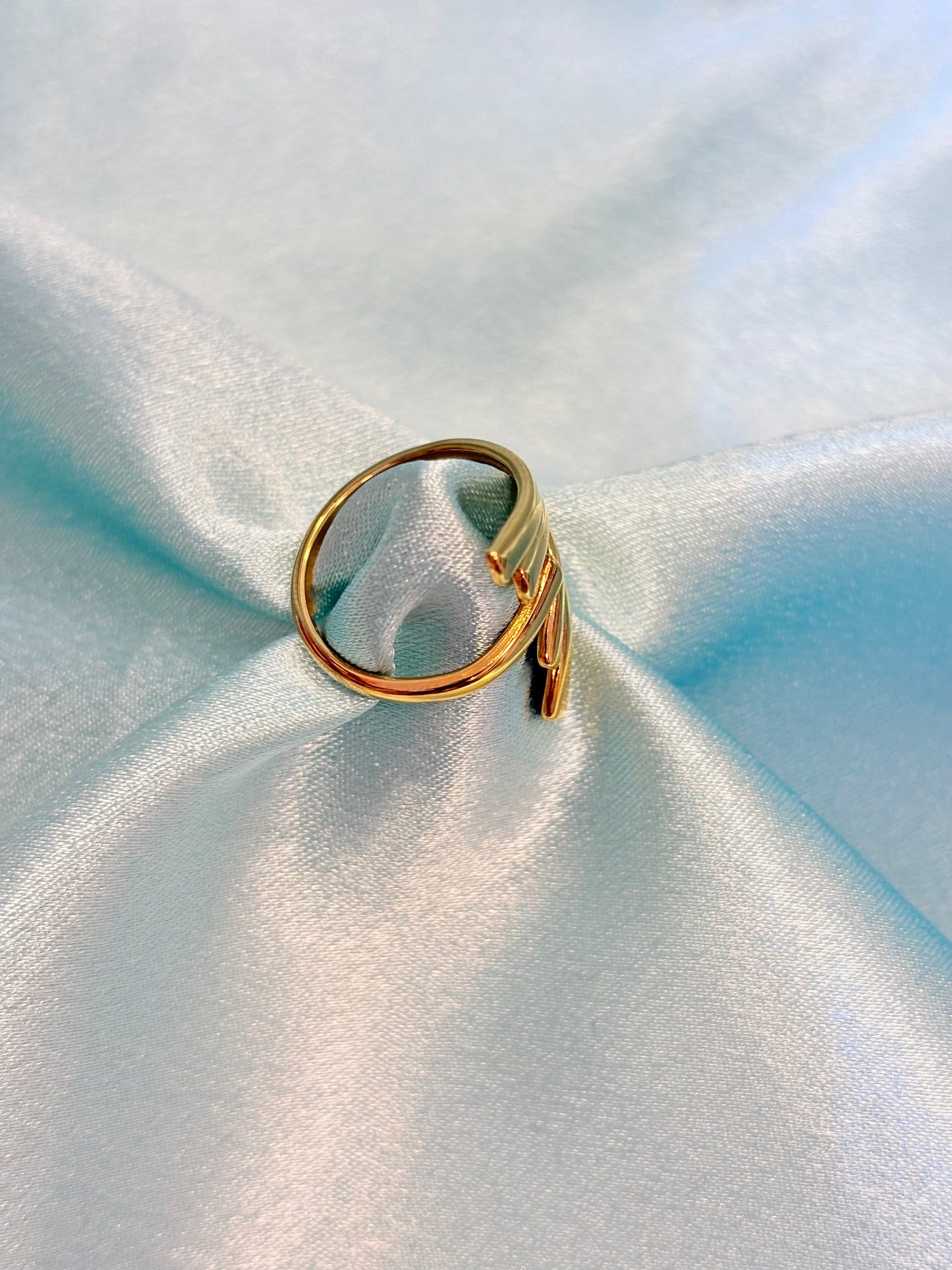 Stainless steel Ring
