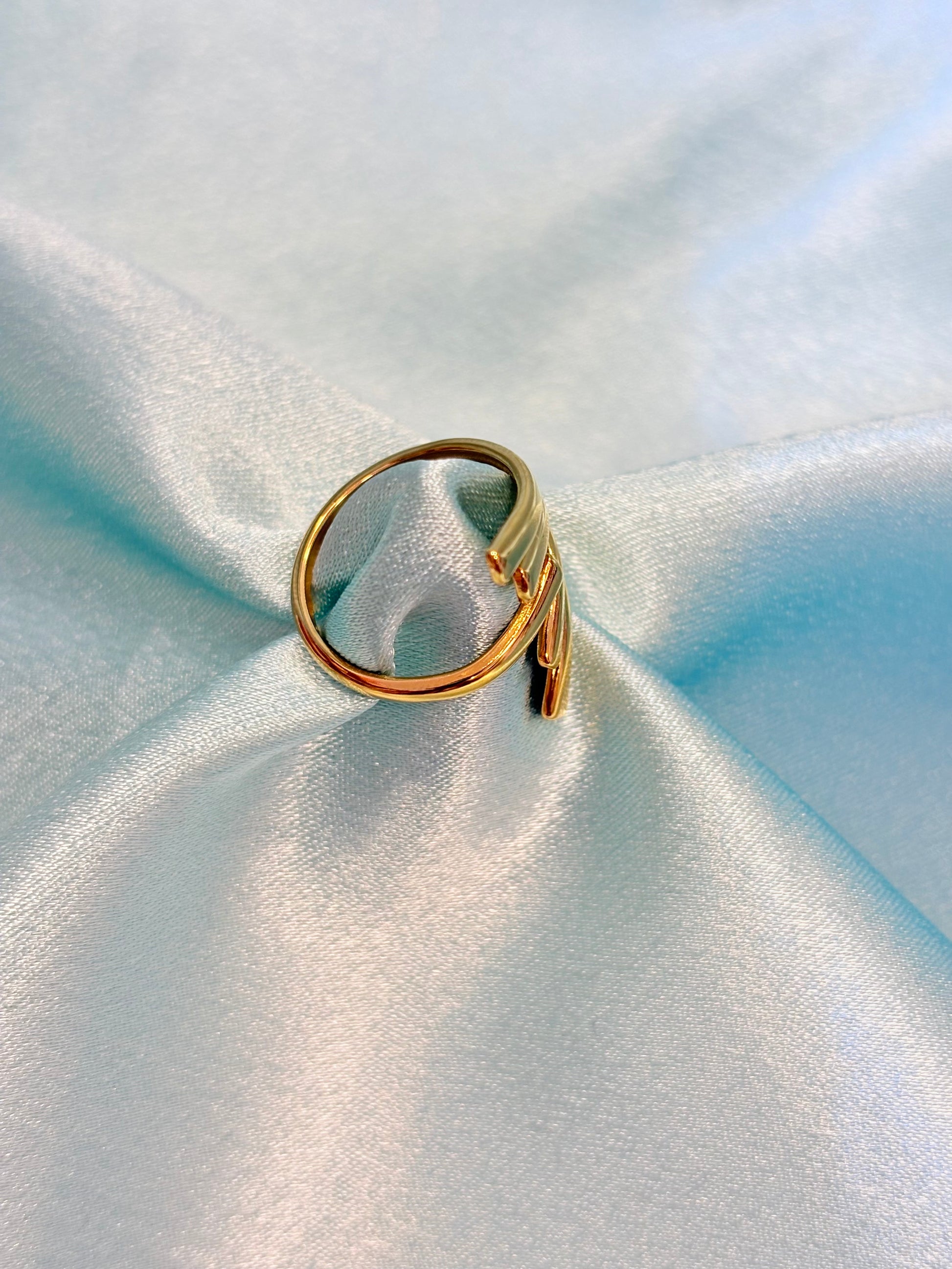 Stainless steel Ring