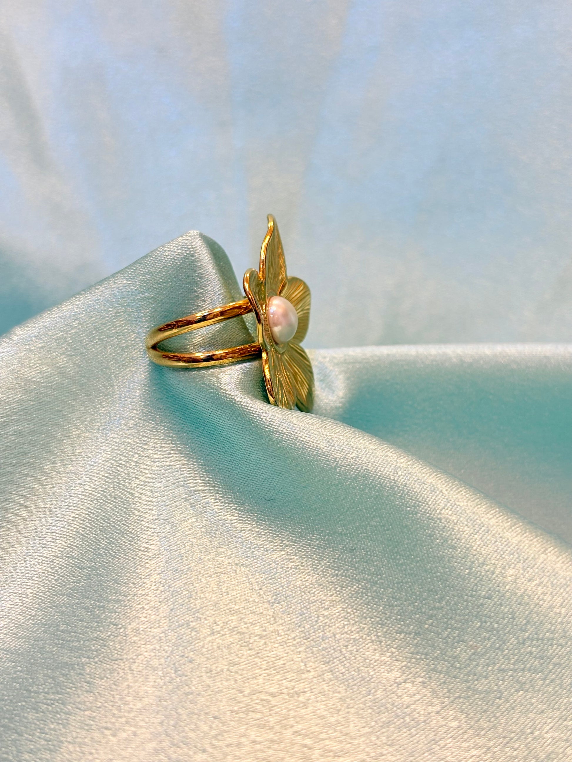 Stainless Steel Ring
