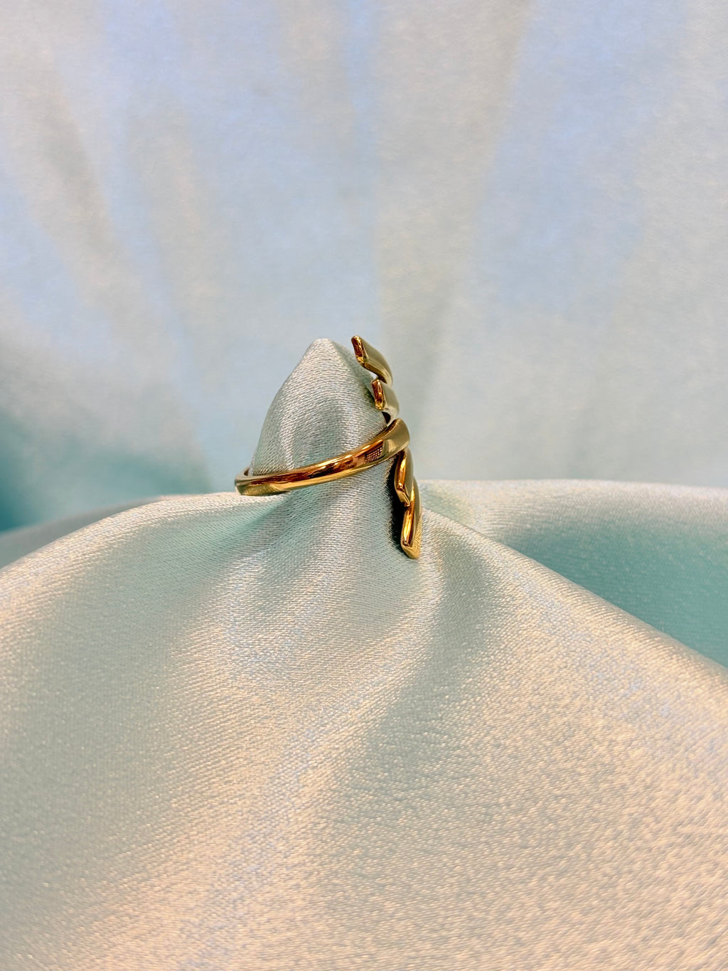 Stainless steel Ring