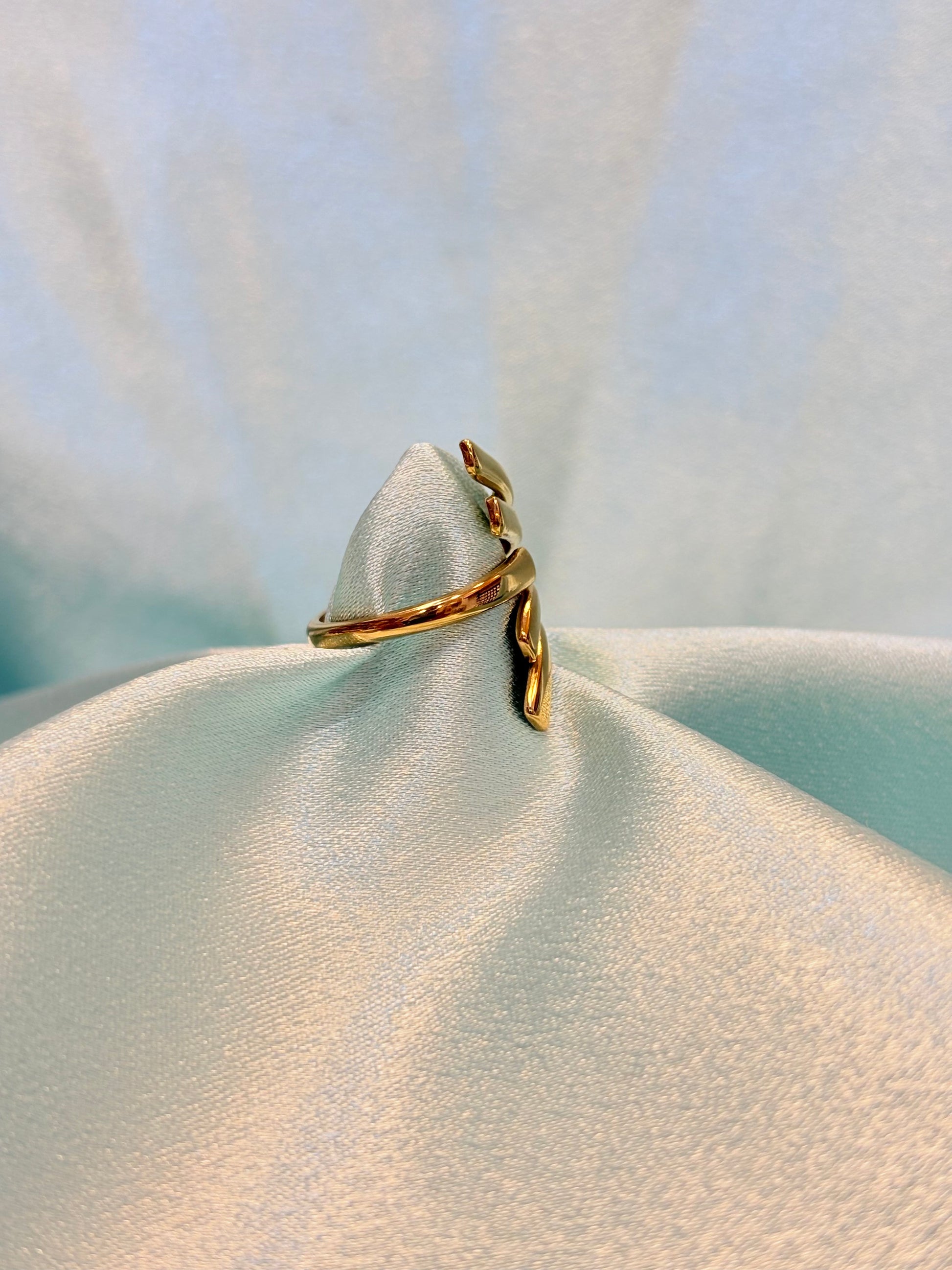 Stainless steel Ring